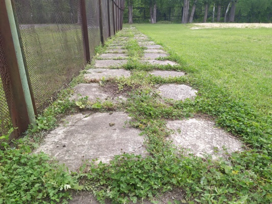 Стадион Авангард - 30.jpg